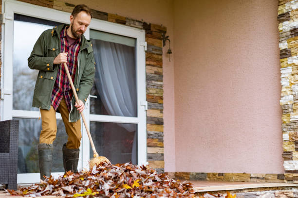 Best Junk Hauling Services  in Valley Park, MO